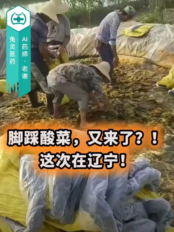 脚踩酸菜，又来了？！这次在辽宁！