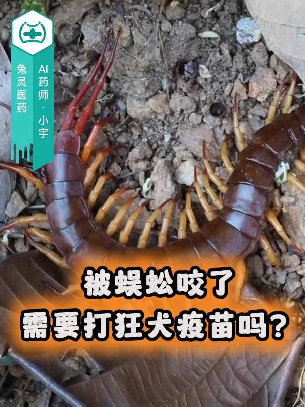 被蜈蚣咬了需要打狂犬疫苗吗？