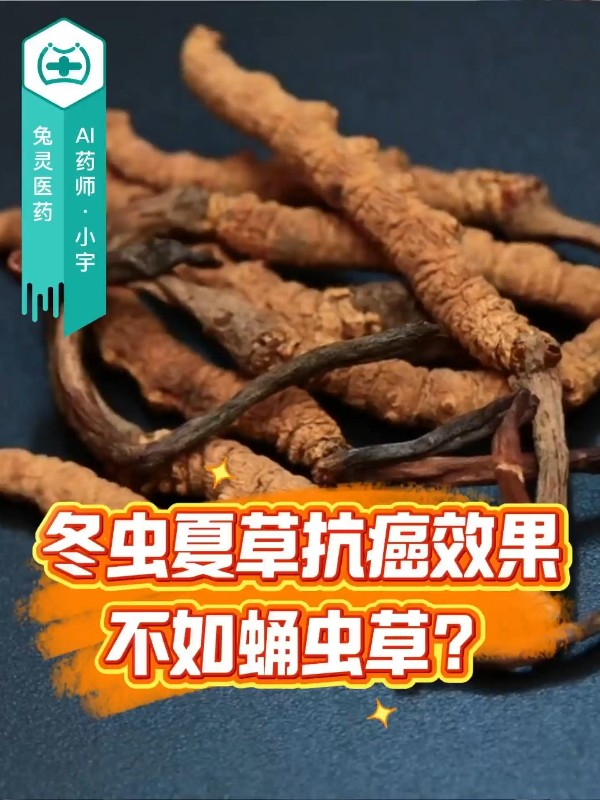 冬虫夏草抗癌效果不如蛹虫草？